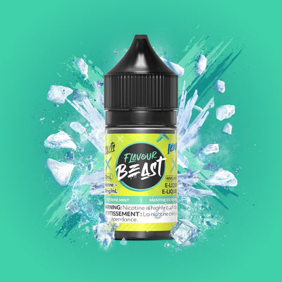 Flavour Beast E-juice 30ml 20mg Extreme Mint