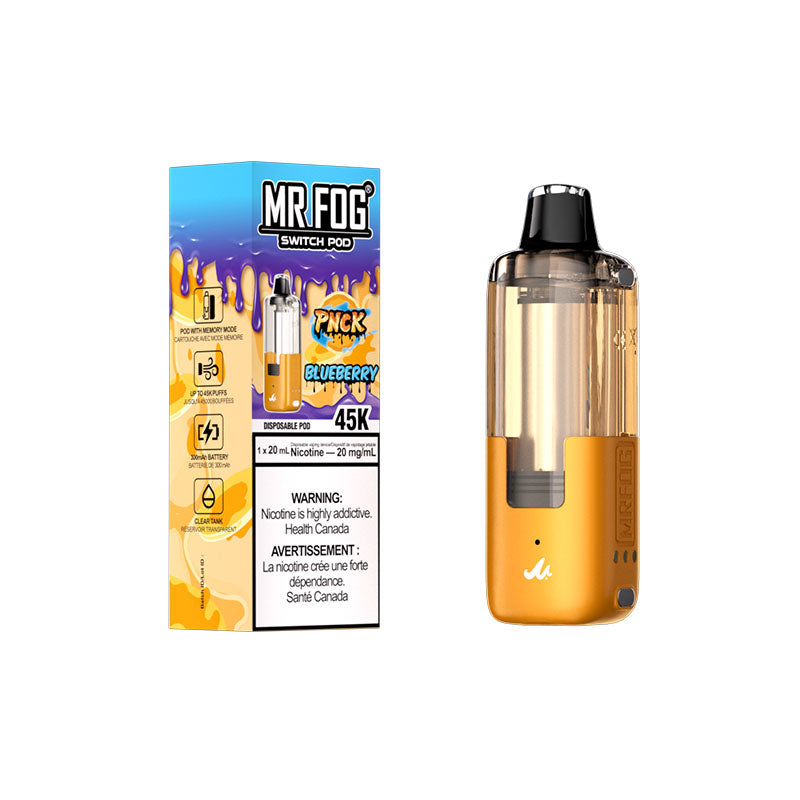 Mr Fog Switch Pod 45k Pnck Blueberry